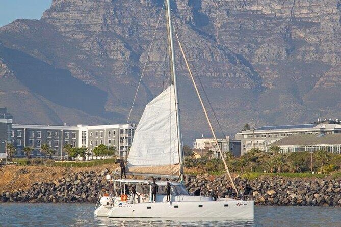 Catamaran Cruise in Cape Town - Meeting Point and On-the-Ground Practicalities (So You Don’t Stress)