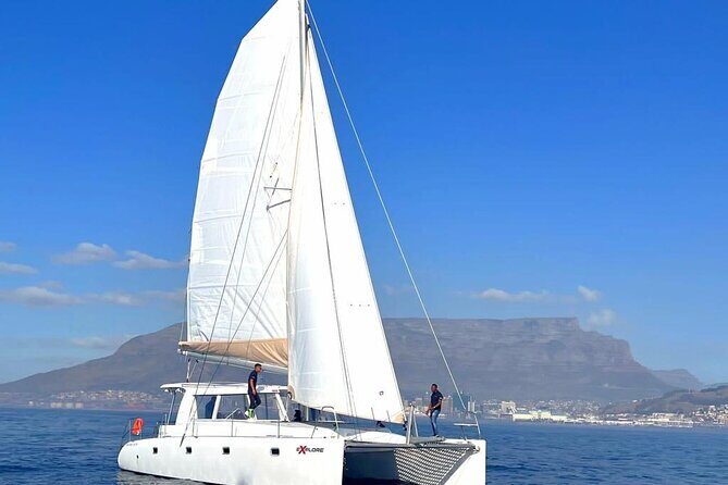 Catamaran Cruise in Cape Town - From V&A Waterfront to Atlantic Views: Your 1-Hour Route
