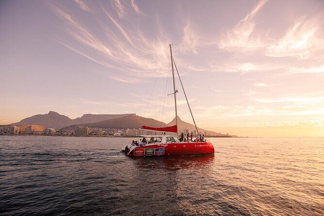 Catamaran Sunset Champagne Cruise Cape Town - Key highlights at a glance