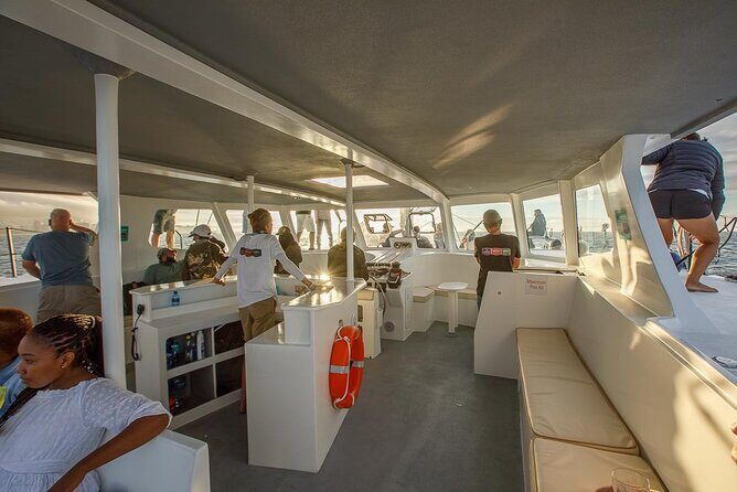 Catamaran Sunset Champagne Cruise Cape Town - Wildlife chances: dolphins, whales, and penguins from the deck