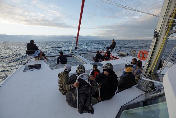 Catamaran Sunset Champagne Cruise Cape Town - The actual ride feel: calm decks, photo angles, and wind reality
