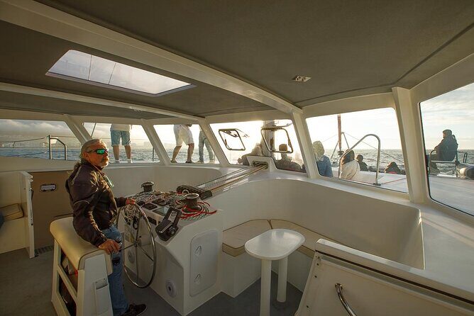 Catamaran Sunset Champagne Cruise Cape Town - Price and value: $37.38 for a memorable hour and a half
