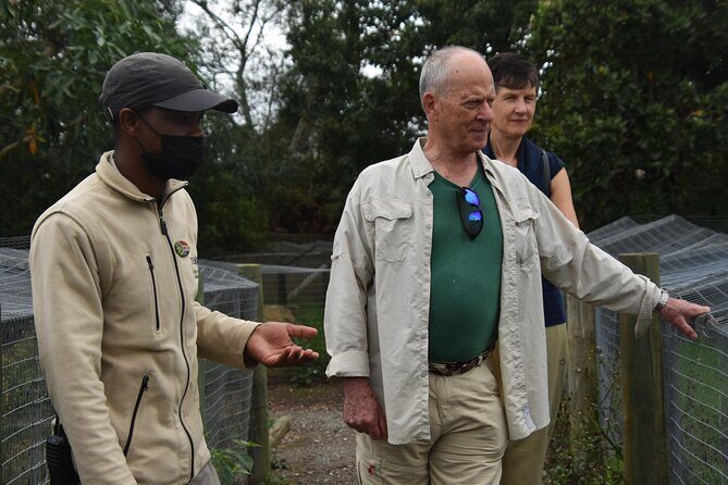 Cats in Conservation - Cats in Conservation: what you’re really paying for