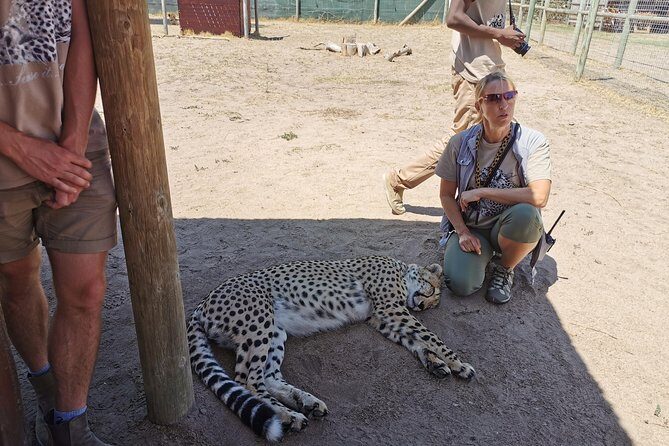 Cheetah Outreach Tour Somerset West, Gordon's Bay and Strand Beaches - Who this tour is best for
