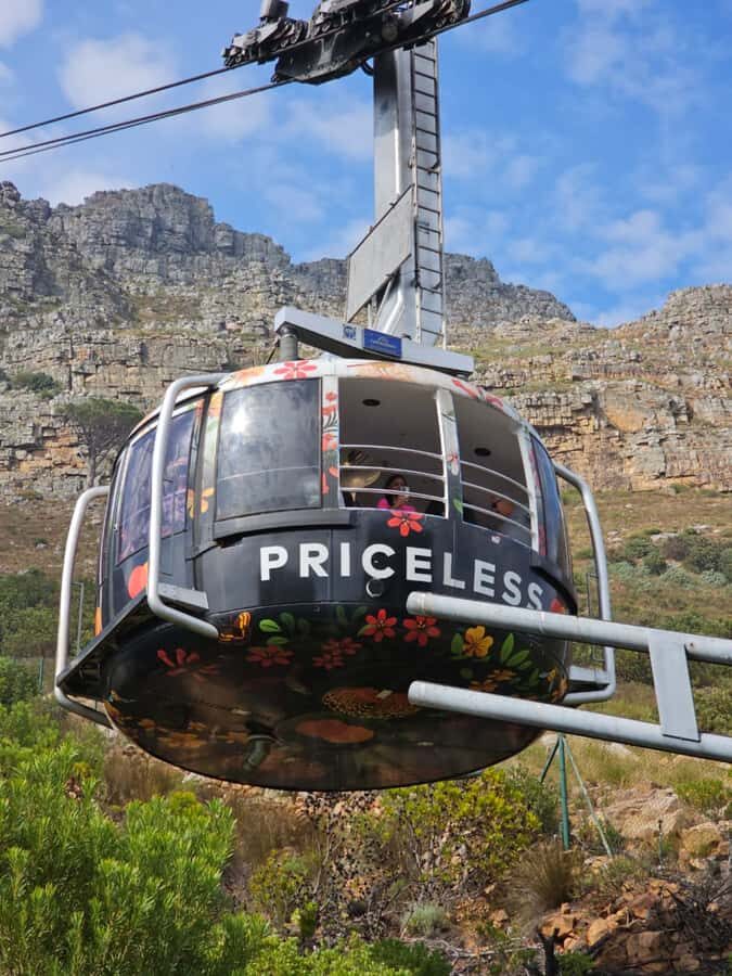 City Tour: Table Mountain, Kirstenbosch & Wine - Cable Car Up Table Mountain: Your Best View-to-Time Ratio