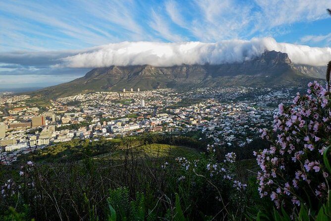 City Tours - Cape Town Central: Castle walls, markets, and Parliament focus