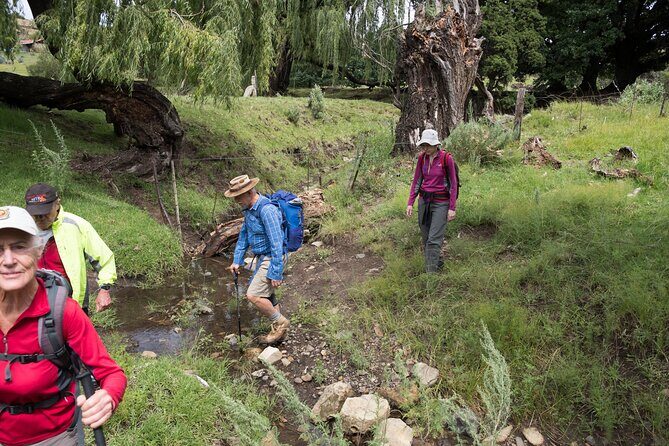 Clarens San-traverse Slackpack - Day 3: Batwing caves, sandstone ravines, and Moshoeshoe stories