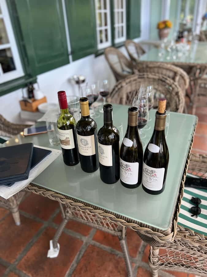 Constantia Half day Wine Tasting tour - Who Should Book This (and Who Should Skip It)
