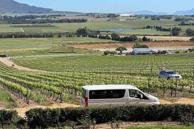 Constantia Half day Wine Tasting tour - Stop 3: Constantia Glen Veranda Tasting, Views to False Bay, and Lunch at Your Expense