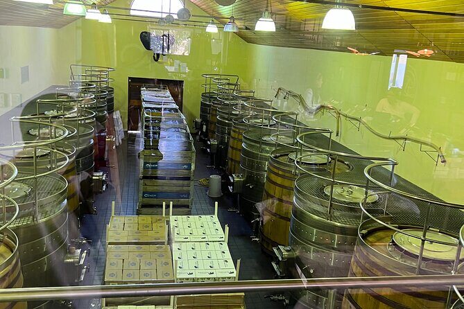 Constantia Half day Wine Tasting tour - Small Things That Matter: What to Bring and How to Avoid Common Headaches