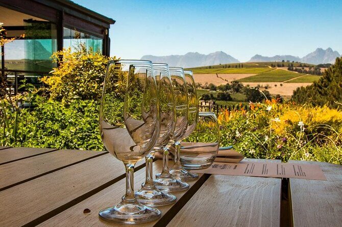 Constantia Half day Wine Tasting tour - Hotel Pickup and the 09:50 Start: Getting There Without Stress