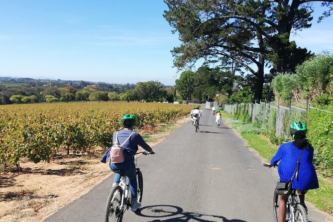 Constantia Hidden Gem Cycle Half Day - Private Tour - Winemaker tastings and cellar time: why this part feels worth it