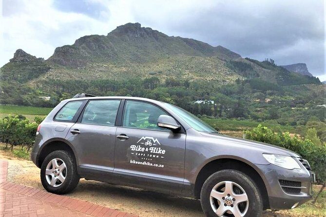Constantia Hidden Gem Cycle Half Day - Private Tour - Cycling the Constantia Valley: hills, pace, and comfort