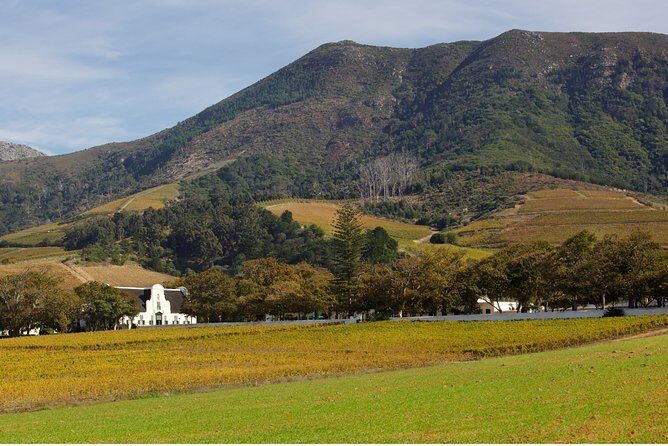 Constantia Hidden Gem Cycle Half Day - Private Tour - The wine farms you may visit: how the names translate to your day