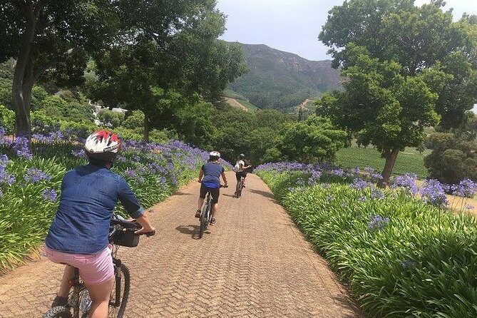 Constantia Hidden Gem Cycle Half Day - Private Tour - Practical tips so you enjoy the hills and tastings