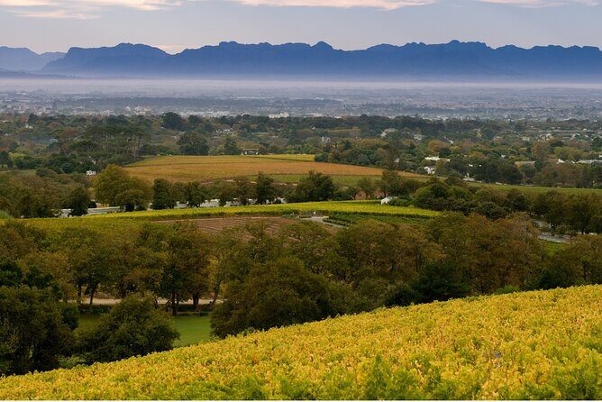 Constantia Hidden Gem Cycle Half Day - Private Tour - Groot Constantia Estate: where the tour sets the tone