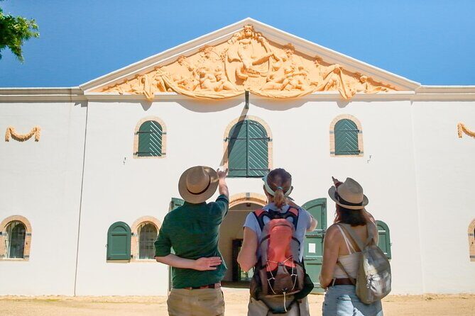 Constantia Wine Walk Storytelling Vineyard Tour with Lunch - Constantia at 8:30am: why early matters