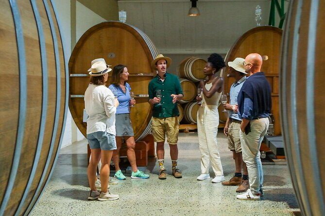 Constantia Wine Walk Storytelling Vineyard Tour with Lunch - Stop 1: Groot Constantia’s 330-year loop and cellar time