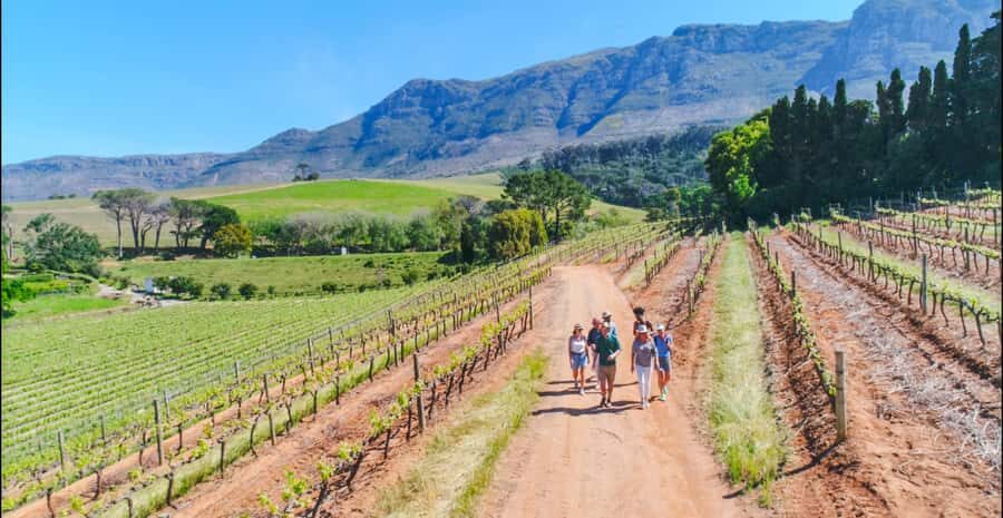 Constantia: Wine Walk with Lunch and Enchanting Stories - Constantia’s wine story, told where it happened