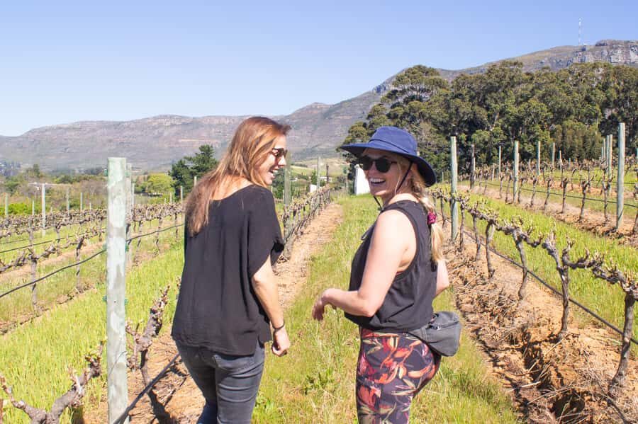 Constantia: Wine Walk with Lunch and Enchanting Stories - What the 10–11 tastings mean for your day (and your decisions)