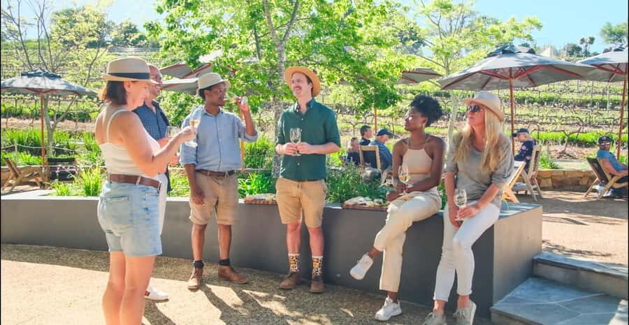 Constantia: Wine Walk with Lunch and Enchanting Stories - The walk plan: 5 km total, built for a relaxed pace
