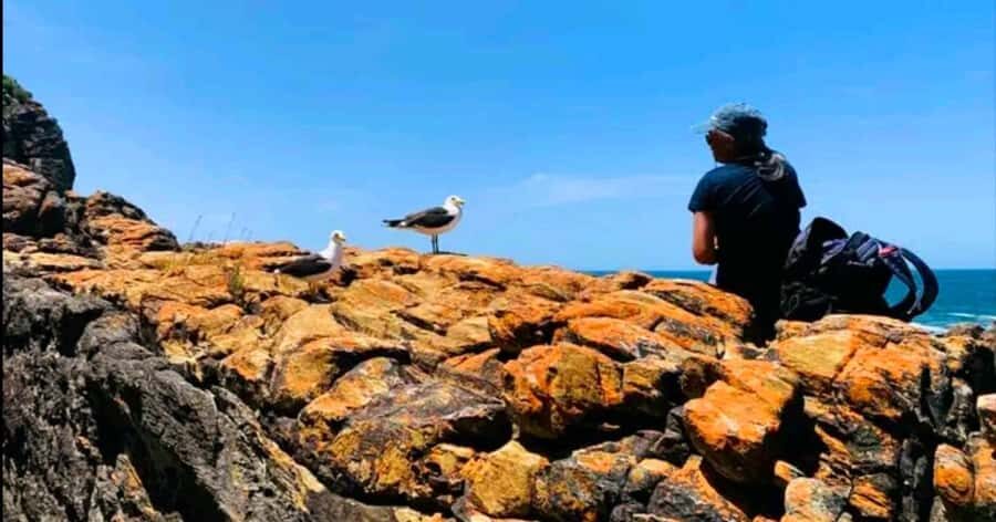 Costal Hiking Sacramento Trail: Port Elizabeth - On the trail: what the 8km circular walk feels like