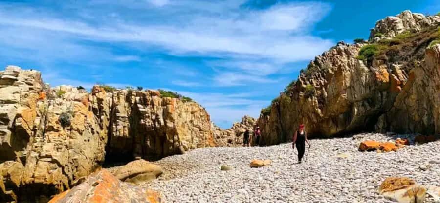 Costal Hiking Sacramento Trail: Port Elizabeth - Sardinia Bay Marine Reserve: dolphins, gannets, and seabird noise