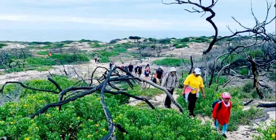Costal Hiking Sacramento Trail: Port Elizabeth - Fynbos, wildflowers, and the science of tufa stromatolites