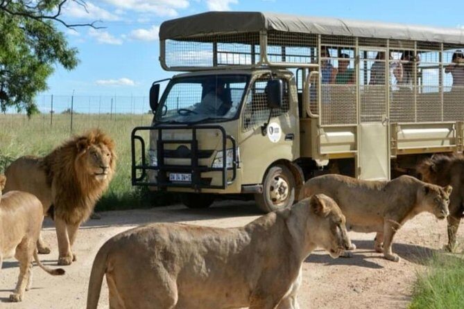Cradle of Human Kind & Lion & Rhino Park Tour Full day Tour Private - Johannesburg to UNESCO human origins without the headache