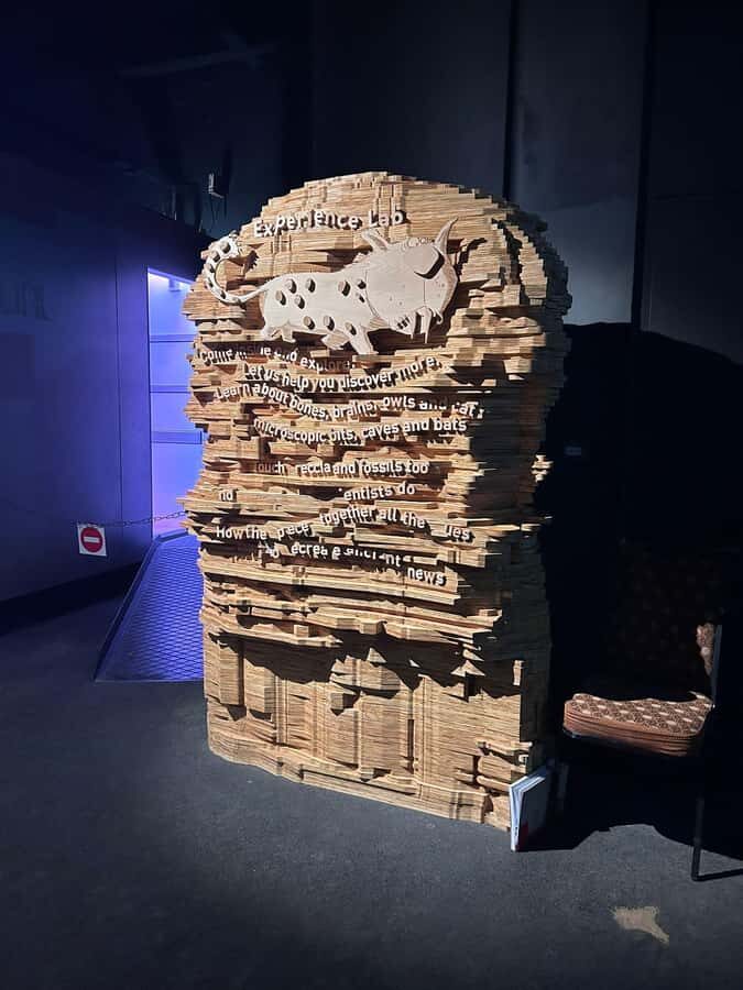 Cradle of Humankind and Lesedi Cultural Village - Cradle of Humankind from Johannesburg: the drive and the payoff