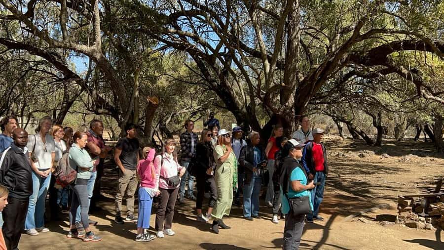 Cradle of Humankind and Lesedi Cultural Village - Should you book the Cradle of Humankind + Lesedi combo?