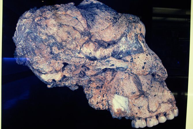 Cradle of Humankind and Maropeng Day Tour from Johannesburg - Should you book this Cradle of Humankind and Maropeng day tour?
