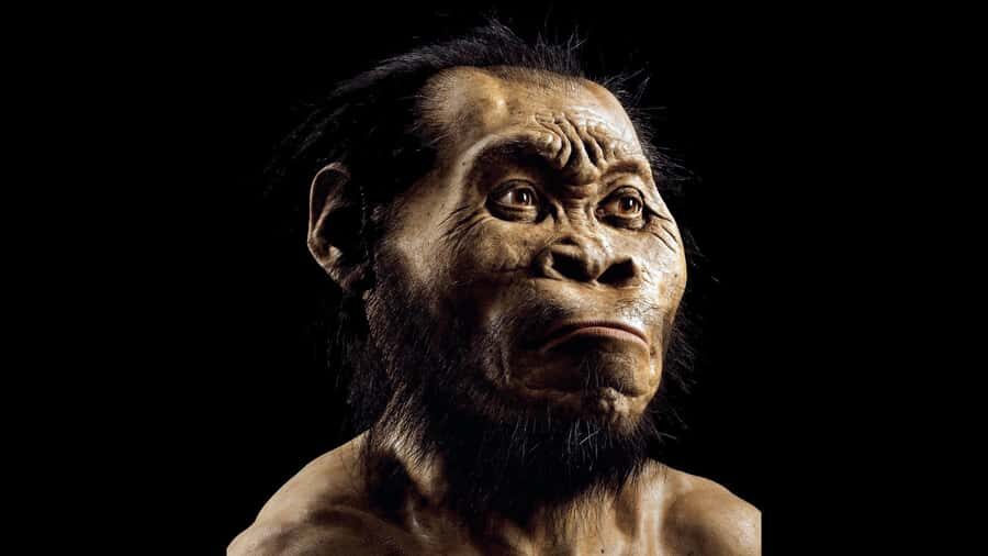 Cradle of Humankind and Sterkfontein Caves Half-Day Tour - Why Sterkfontein Caves + Maropeng works so well in a half day