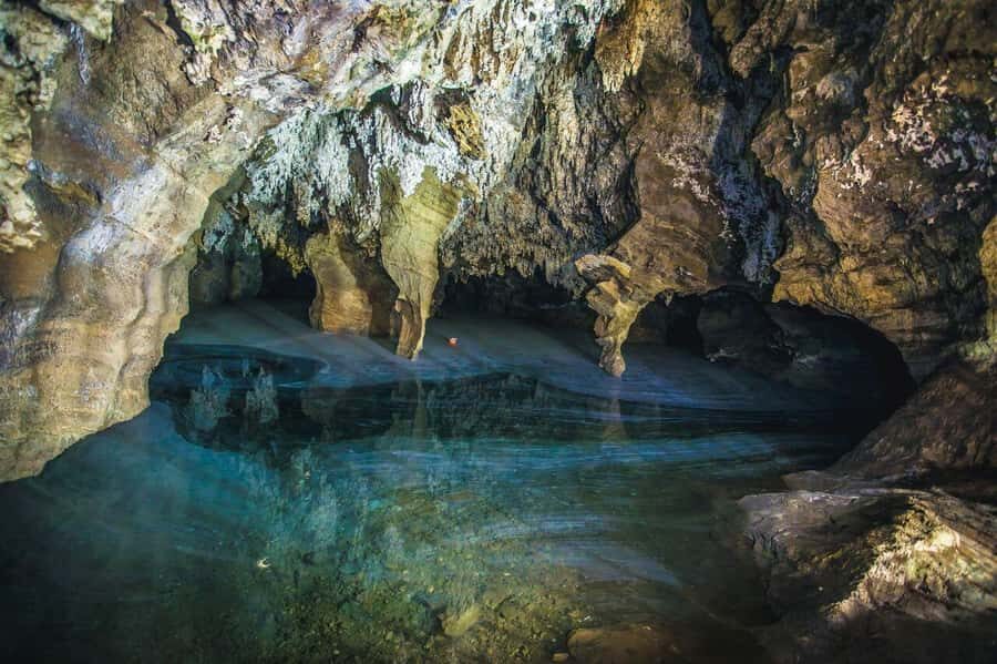 Cradle of Humankind and Sterkfontein Caves Half-Day Tour - Cave walking tips: slippery steps, tight spaces, and smart footwear