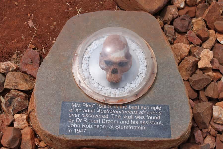 Cradle of Humankind and Sterkfontein Caves Half-Day Tour - Maropeng Visitor Centre: interactive exhibits and the underground boat ride