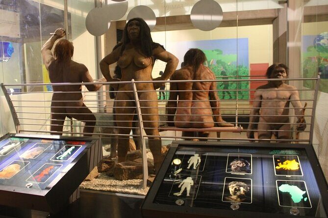 Cradle of Humankind Full Day Tour from Pretoria and Johannesburg - Door-to-door from Pretoria or Johannesburg: how the day actually runs