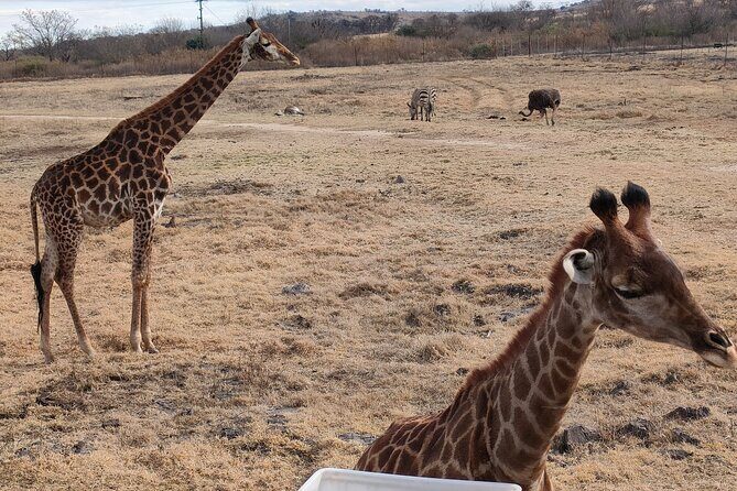 Cradle of Humankind Full Day Tour from Pretoria and Johannesburg - Maropeng Visitor Centre and the underground boat ride on the lake