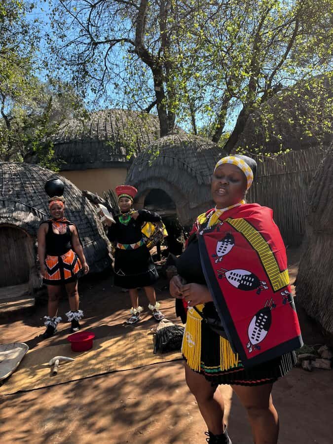 Cradle Of Humankind, Lesedi Cultural Village & Lion's Park - A 7:30 AM start you’ll feel (in a good way)