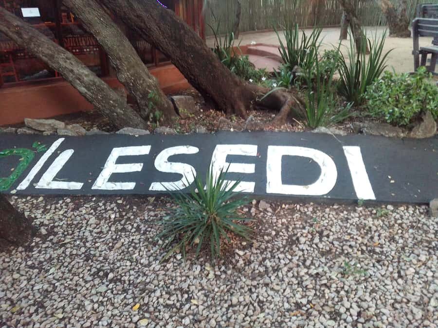 Cradle Of Humankind, Lesedi Cultural Village & Lion's Park - Cradle of Humankind UNESCO: Taung Child and Mrs. Ples in context