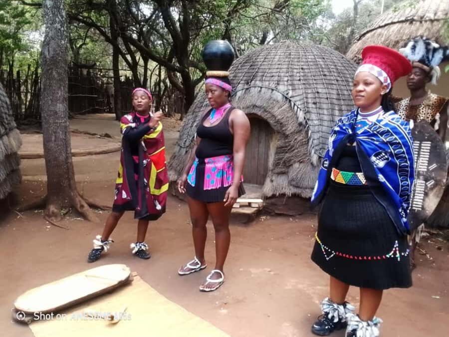Cradle Of Humankind, Lesedi Cultural Village & Lion's Park - What $246 gets you: value in entrances, guide time, and transportation