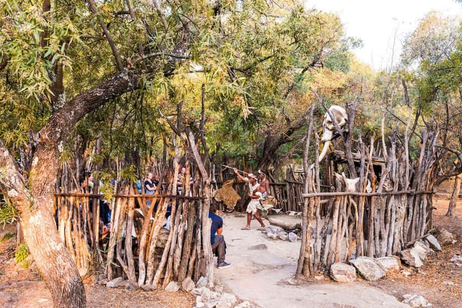 Cradle Of Humankind, Lesedi Cultural Village & Lion's Park - Who this day-trip is best for (and who might want something slower)