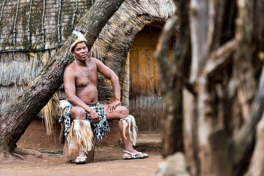 Cradle Of Humankind, Lesedi Cultural Village & Lion's Park - Should you book this tour?