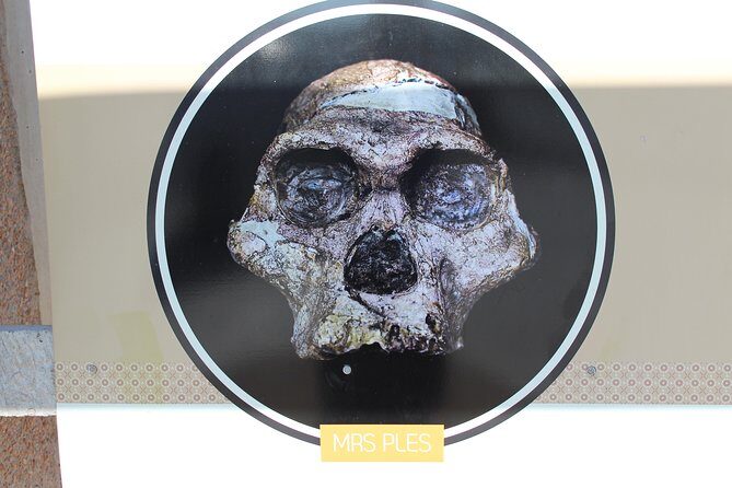 Cradle of Humankind Tour - Sterkfontein Caves with Maropeng Tour - Getting there in a small group: comfort, vehicles, and guide style
