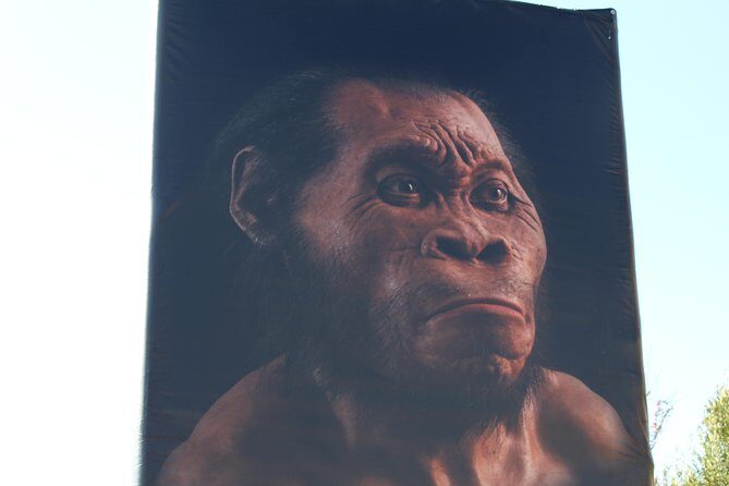 Cradle of Humankind Tour - Sterkfontein Caves with Maropeng Tour - Weather and cave access: plan for reality, not perfection