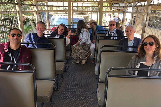 Cradle of Humankind Tour with Lion Safari from Johannesburg - Should You Book This Cradle + Lion Safari Day Trip?