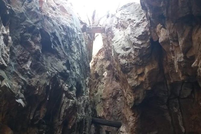 Cradle of Humankind World Heritage Site - Who this tour suits best (and who should rethink it)