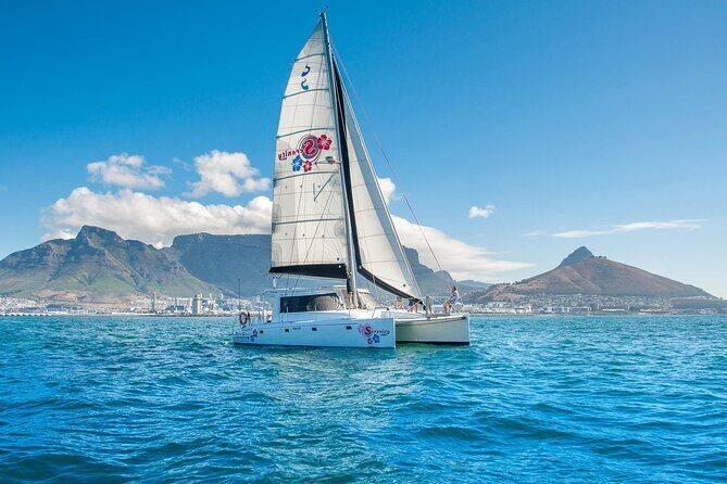 Cruise and Dine Dinner / Cape Town: Sunset Champagne Cruise and 3-Course Dinner - Marine Life Sightings: What You Can Actually Expect