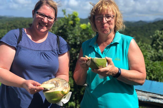 Cruise Excursions in St. Lucia - What’s included: drinks, snacks, and rum tasting without the extra stops