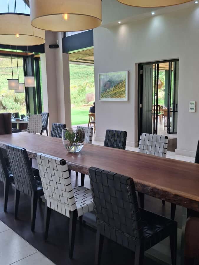 CUSTOMISED PRIVATE WINE TOUR WITH LUNCH - CAPE TOWN - Oldenburg Vineyard: the view can steal the show