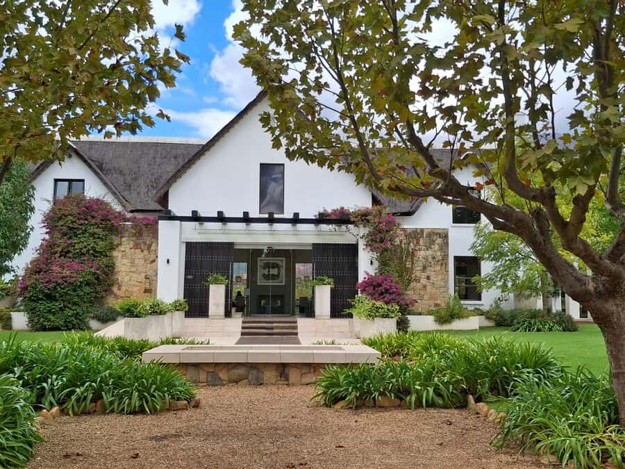 CUSTOMISED PRIVATE WINE TOUR WITH LUNCH - CAPE TOWN - Lunch options in the Winelands: choose the mood you want